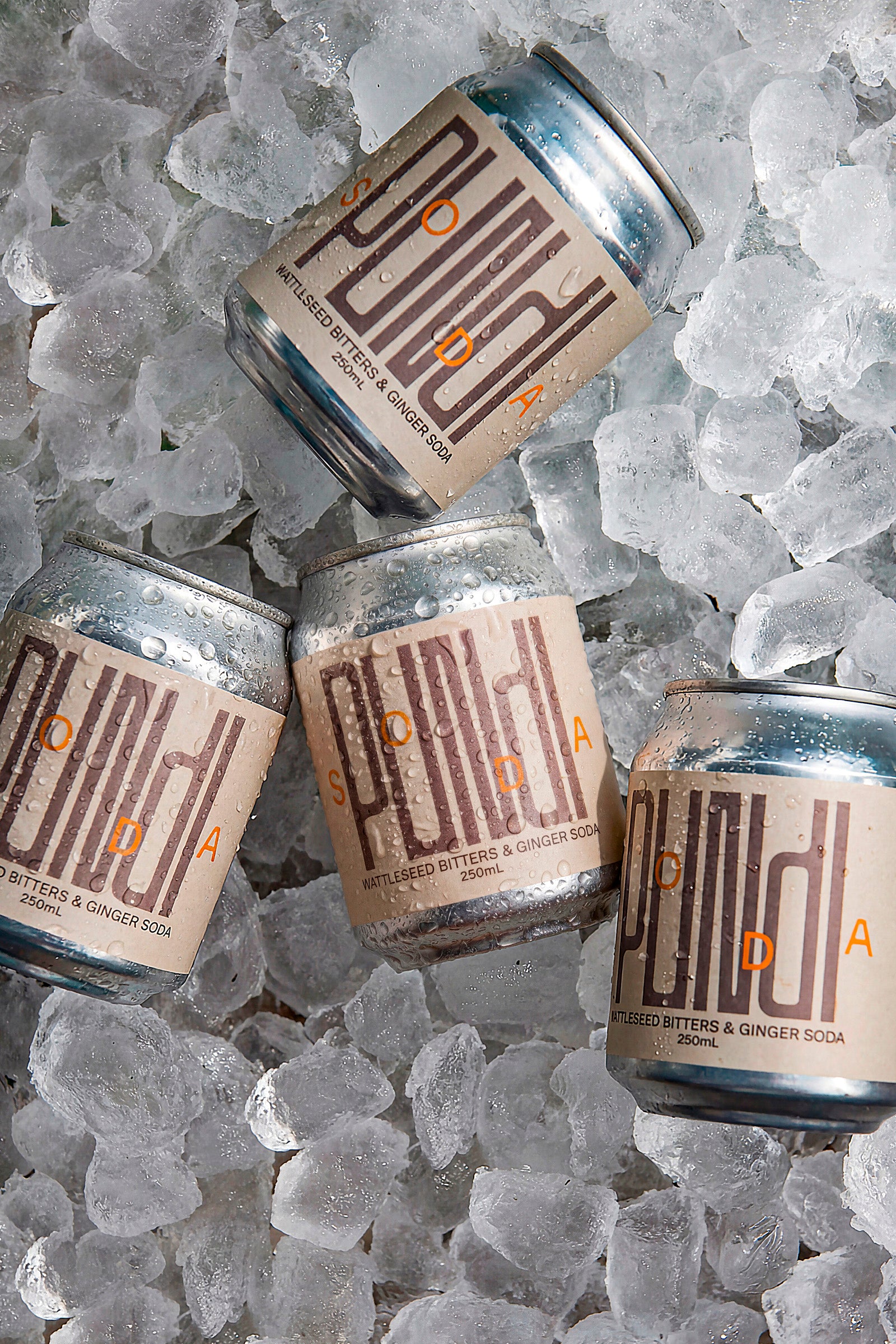 Wattleseed Bitters & Ginger Soda (24 pack)